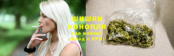 индика Кинешма