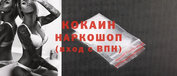 индика Кинешма