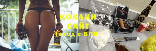 индика Кинешма