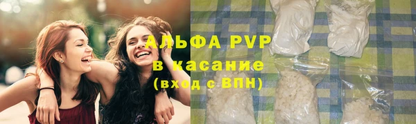 индика Кинешма