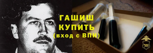 индика Кинешма