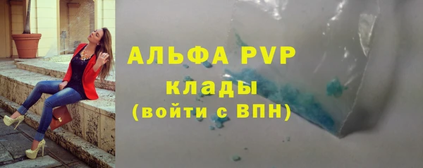 индика Кинешма
