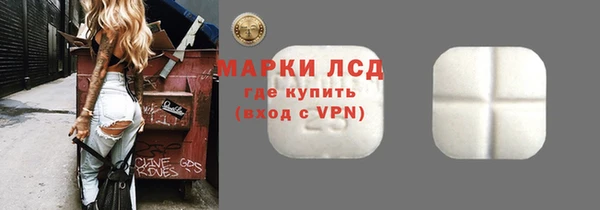 индика Кинешма