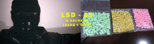 индика Кинешма