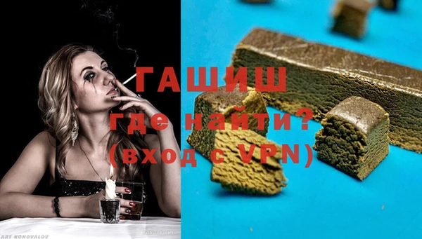 индика Кинешма