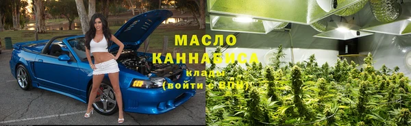 индика Кинешма