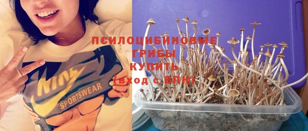 индика Кинешма