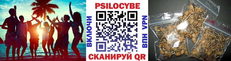 Галлюциногенные грибы мицелий  Купить где  Белая Калитва 